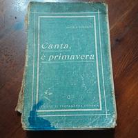 libro del 1948 - antico/vintage
