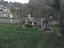 Immagine 7