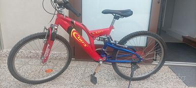 bicicletta raggio 24