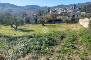 TER. RESIDENZIALE A MENDICINO