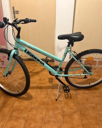 Bicicletta