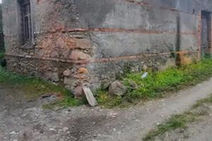 Terreno mq 7500 agrumeto per vivai