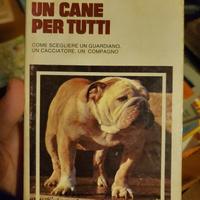 un cane per tutti