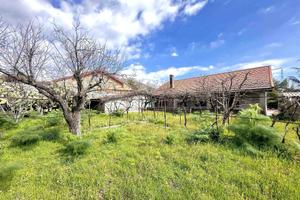 Rif.LF10| villa belpasso