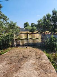 Terreno edificabile 2500mq