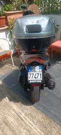 Leonardo 250