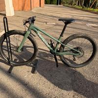 Specialized riprock 24