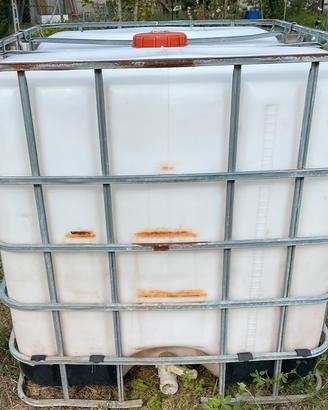 cisterna raccolta  acqua 1000 litri