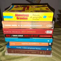 LOTTO 9 libri romanzi narrativa autori vari 