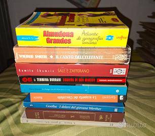 LOTTO 9 libri romanzi narrativa autori vari 