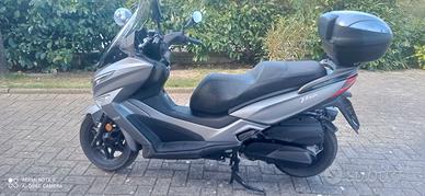 Scouter Kimco x-Tauun 