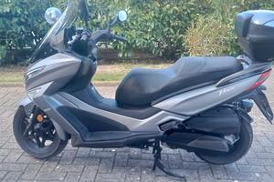 Scouter Kimco x-Tauun 