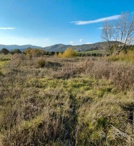 CARAFFA - Terreno agricolo - Vista 2