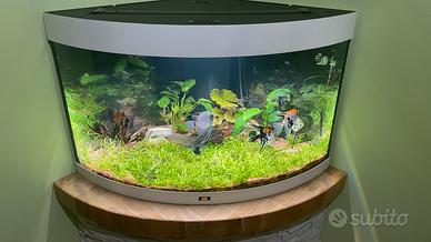 Acquario JUWEL TRIGON 180