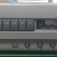 Amplificatore Luxnan A005