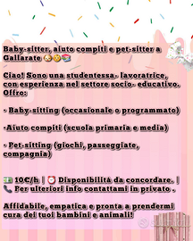 Baby Sitter/ Aiuto compiti