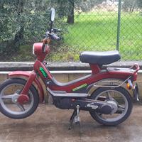 piaggio grillo