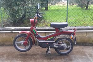 piaggio grillo