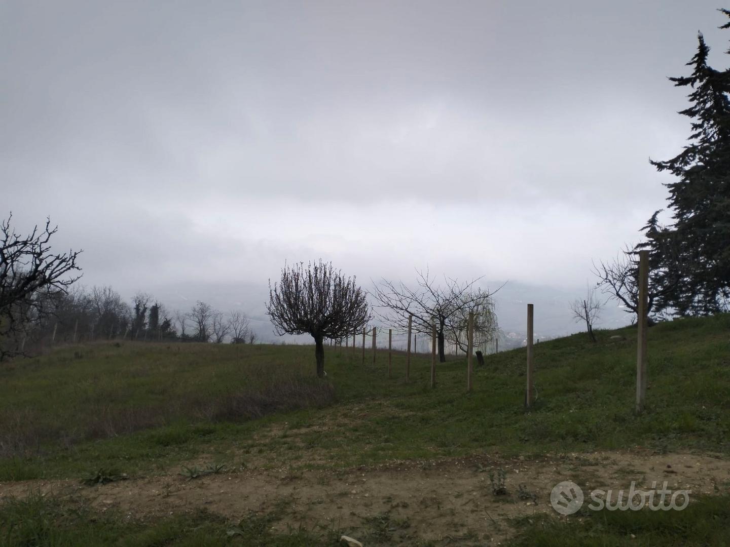 Terreno agricolo seminativo - Vista 3