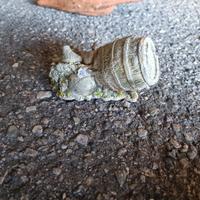 decorazione acquario