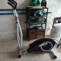 Ellittica proform accolias