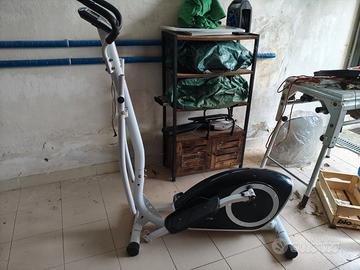 Ellittica proform accolias