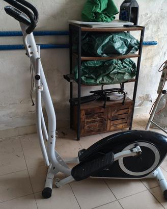 Ellittica proform accolias