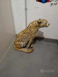 ghepardo 