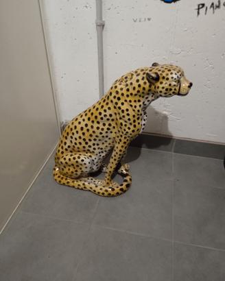 ghepardo 