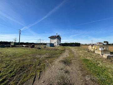 TER. AGRICOLO A CESENATICO