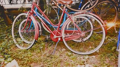 Bicicletta da donna / femminile  - bici