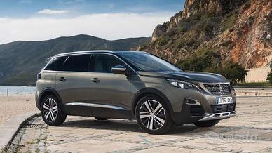 Ricambi musata porte Peugeot 5008