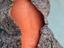 Immagine 6