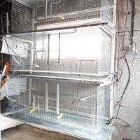 Batteria gabbie a parete