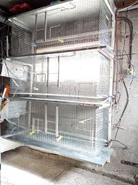 Batteria gabbie a parete