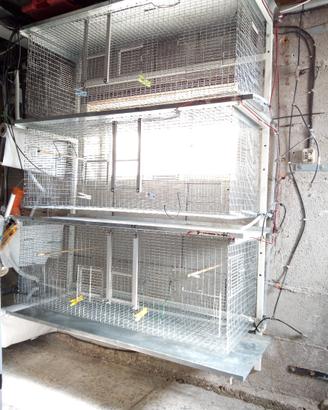 Batteria gabbie a parete