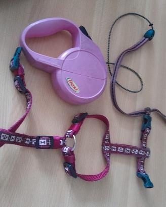 accessori cane 