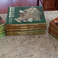 Collana “ I Musei del Mondo”