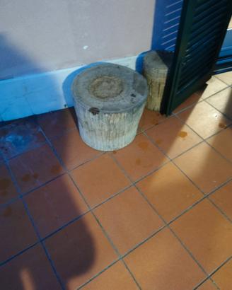 Ceppo di legno