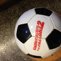 Pallone L'allenatore nel pallone 2