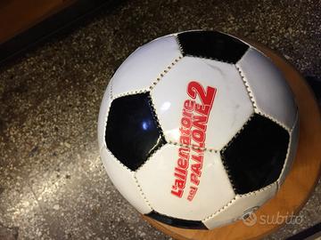 Pallone L'allenatore nel pallone 2