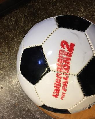 Pallone L'allenatore nel pallone 2
