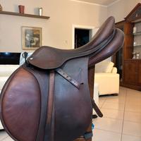 Sella Equitazione Usata