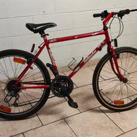 MTB Bottecchia ruote 26