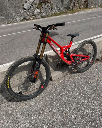 Santa Cruz V10 8