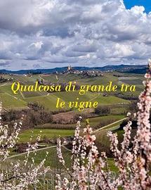 Solo per chi pensa in grande