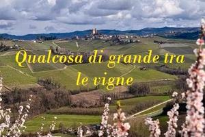 Solo per chi pensa in grande