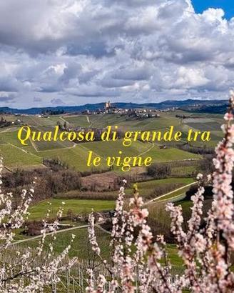 Solo per chi pensa in grande