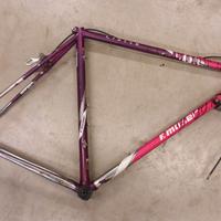 Telaio Francesco Moser 54
