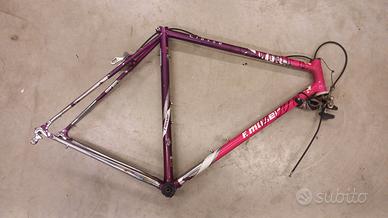 Telaio Francesco Moser 54